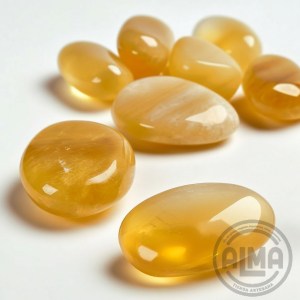 Citrino conjunto con logo